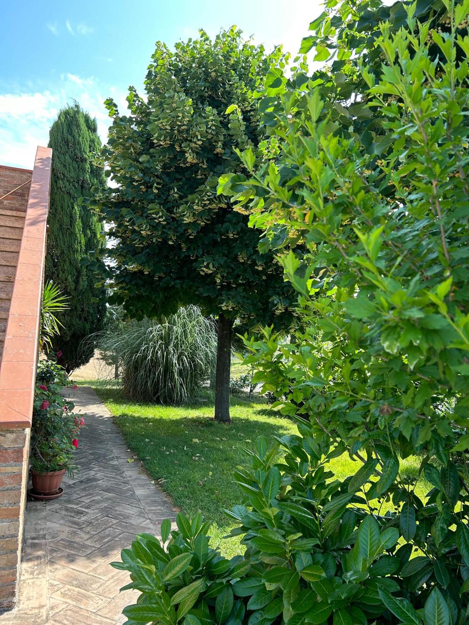 Agriturismo Casa Rossa Chianciano Terme Bagian luar foto