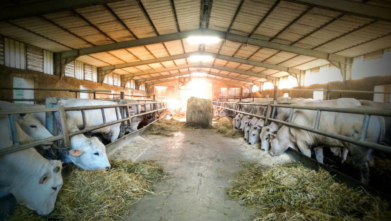Agriturismo Casa Rossa Chianciano Terme Bagian luar foto